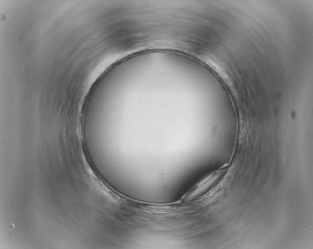 X0000088221342200706121821