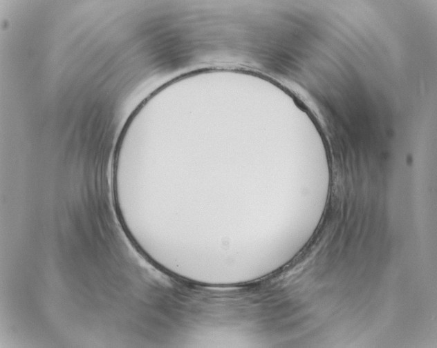 X0000088221343200706121821