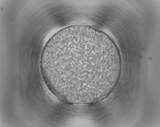 X0000088221344200706121821