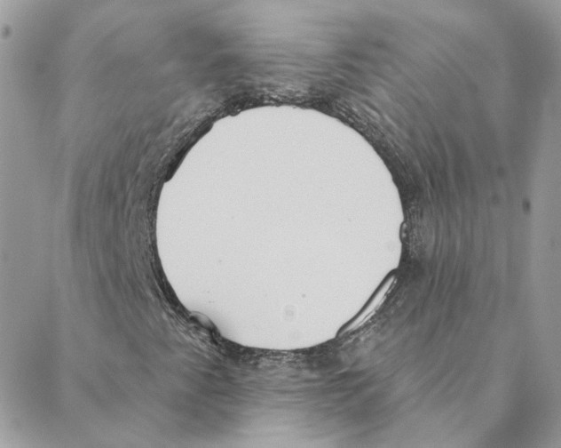 X0000088221345200706121820