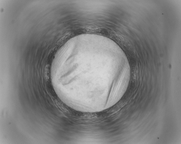 X0000088221346200706121820