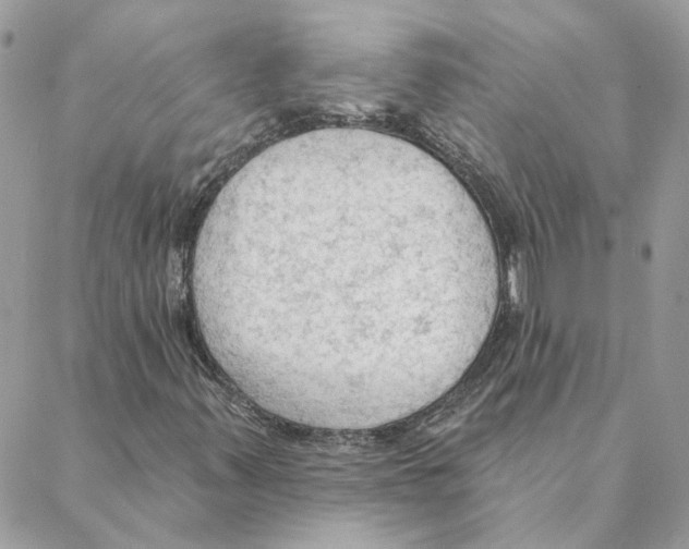 X0000088221347200706121820