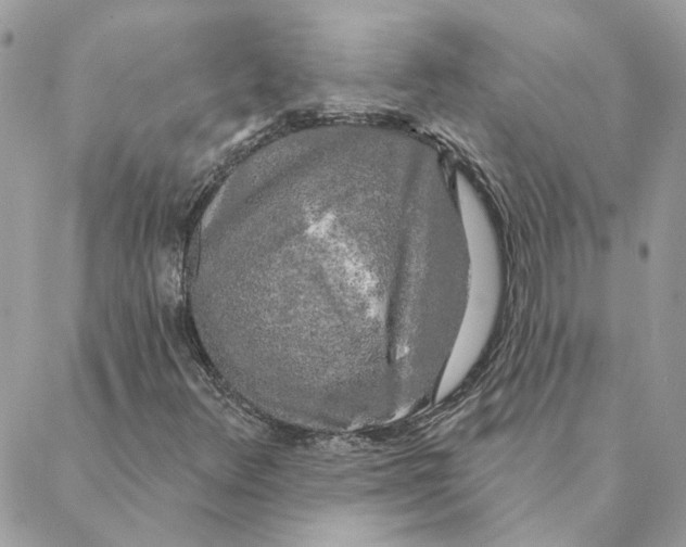 X0000088221348200706121820