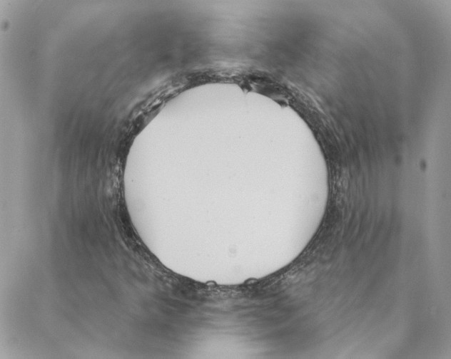 X0000088221349200706121820