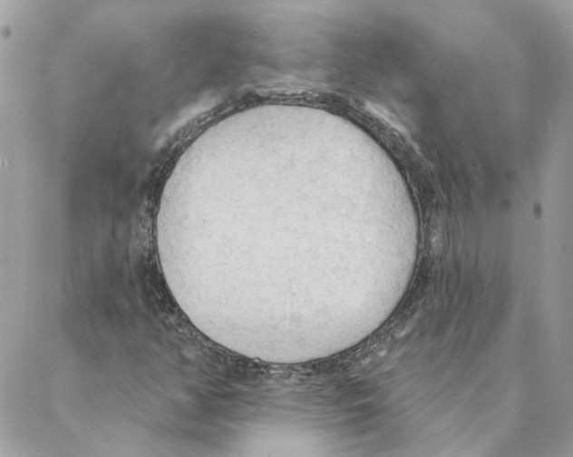 X0000088221350200706121820