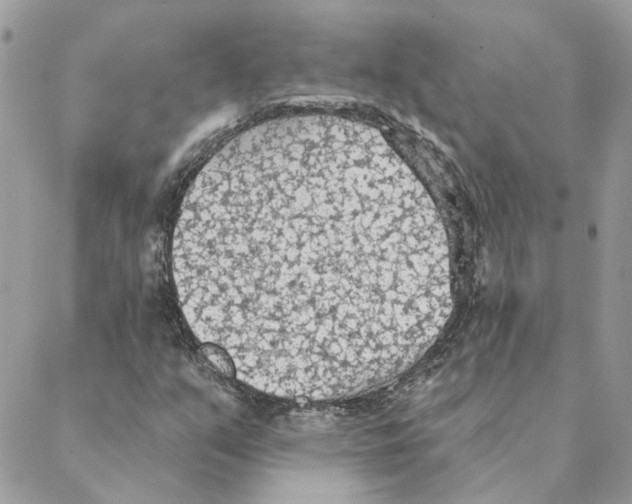 X0000088221351200706121820