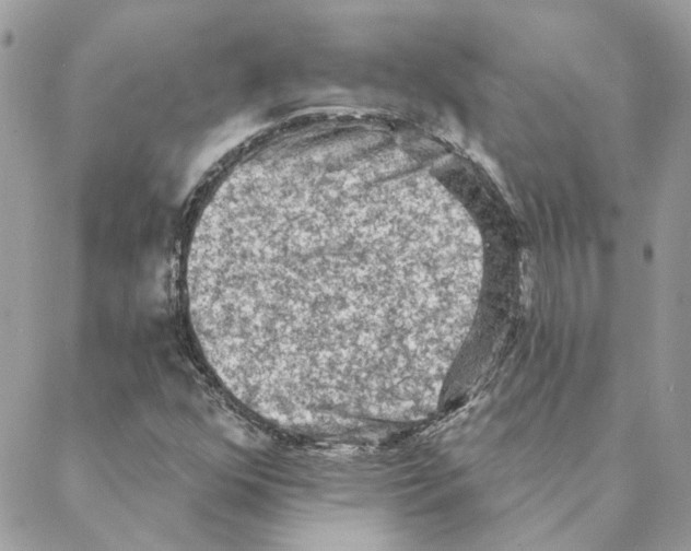 X0000088221352200706121820