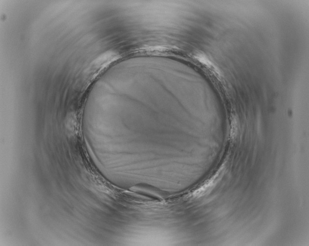 X0000088221353200706121820