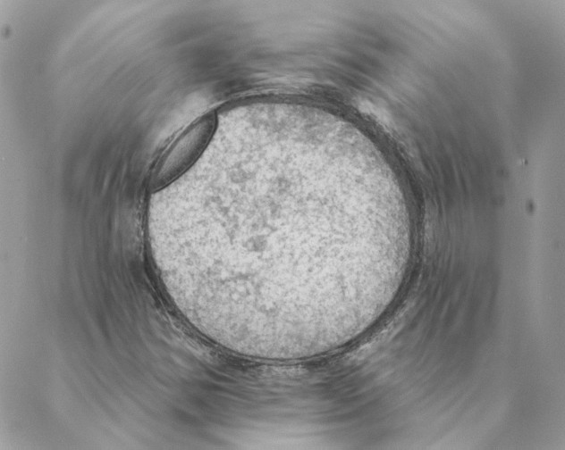 X0000088221354200706121820