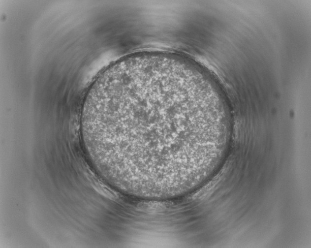 X0000088221355200706121820