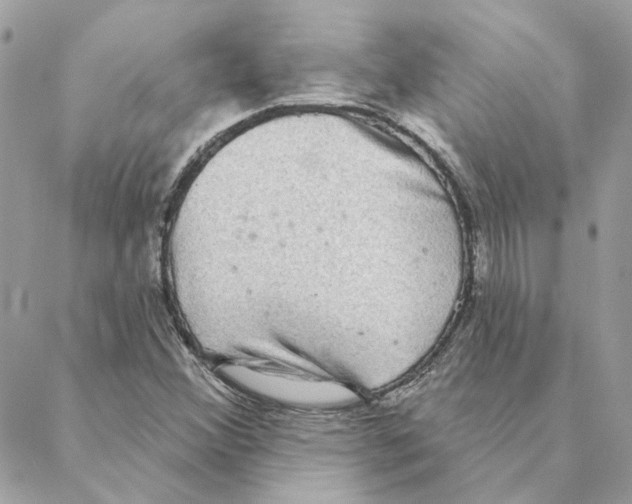 X0000088221356200706121820