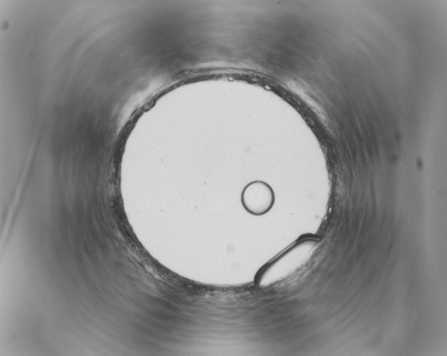 X0000088221357200706121820