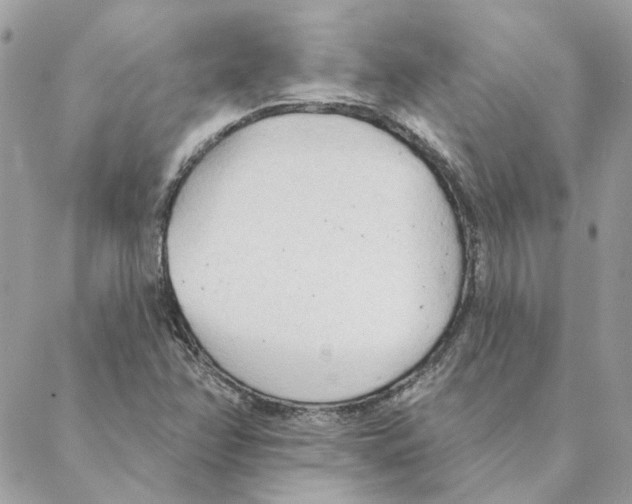 X0000088221358200706121820