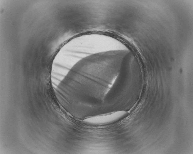 X0000088221359200706121820