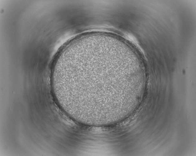 X0000088221360200706121820