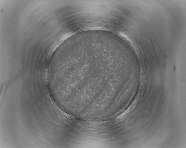 X0000088221361200706121820