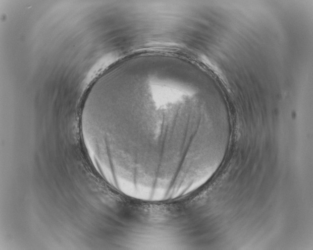 X0000088221362200706121820