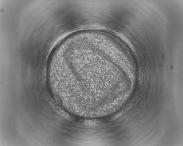 X0000088221364200706121820