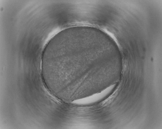 X0000088221365200706121820