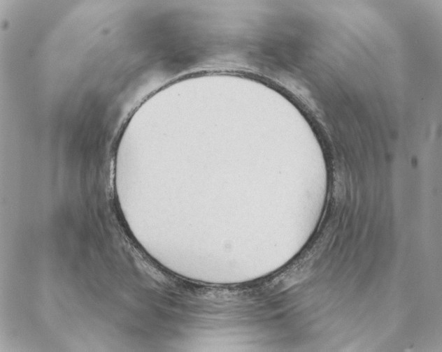 X0000088221366200706121820