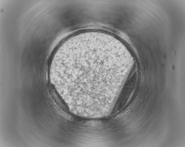 X0000088221368200706121819