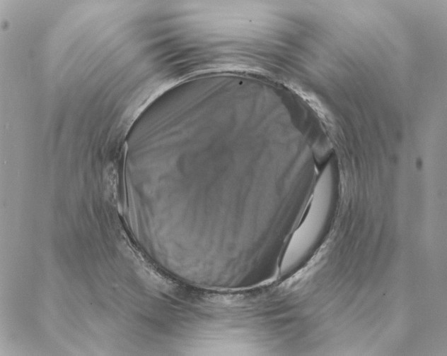 X0000088221369200706121819