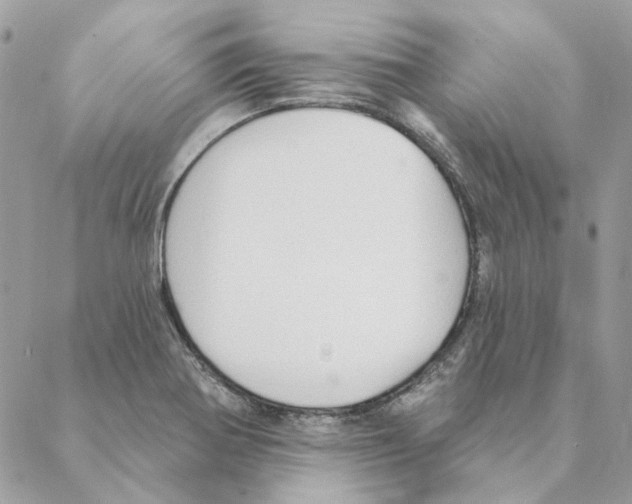 X0000088221370200706121819