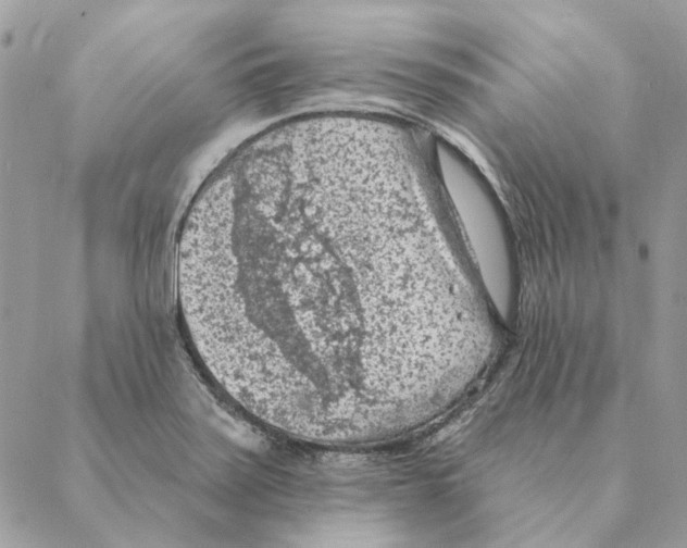 X0000088221371200706121819