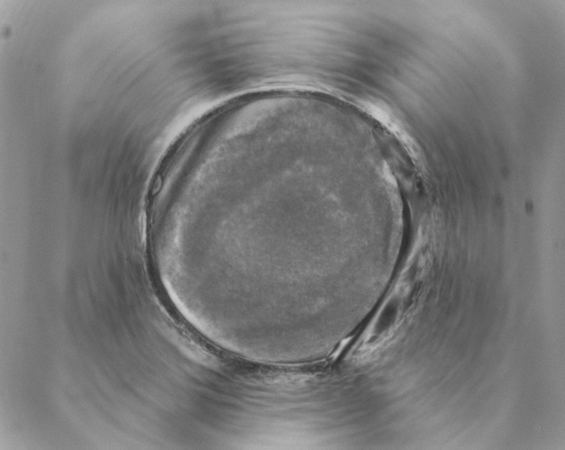 X0000088221372200706121819