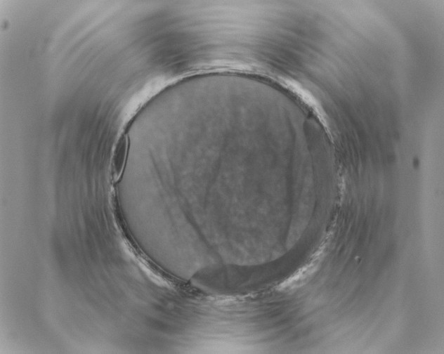 X0000088221373200706121819