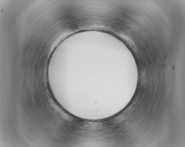 X0000088221374200706121819