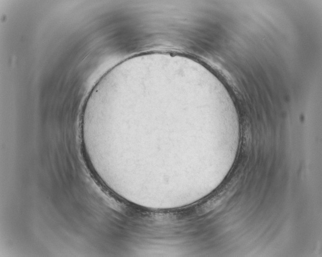 X0000088221375200706121819