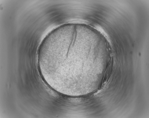 X0000088221376200706121819