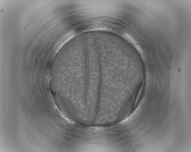 X0000088221377200706121819