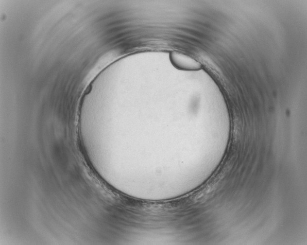 X0000088221378200706121819