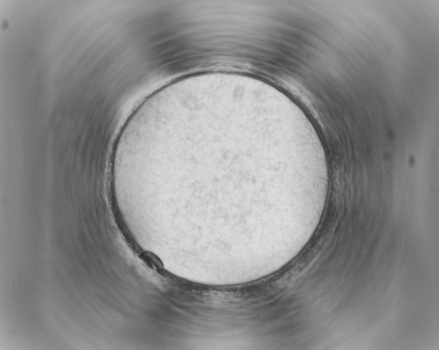 X0000088221379200706121819