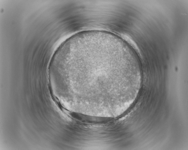 X0000088221380200706121819