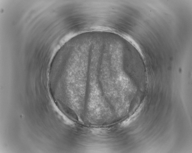 X0000088221381200706121819