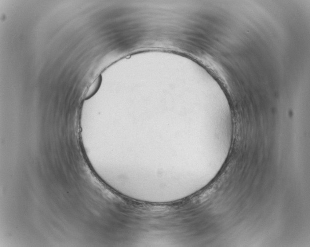 X0000088221382200706121819