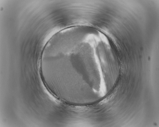 X0000088221383200706121819