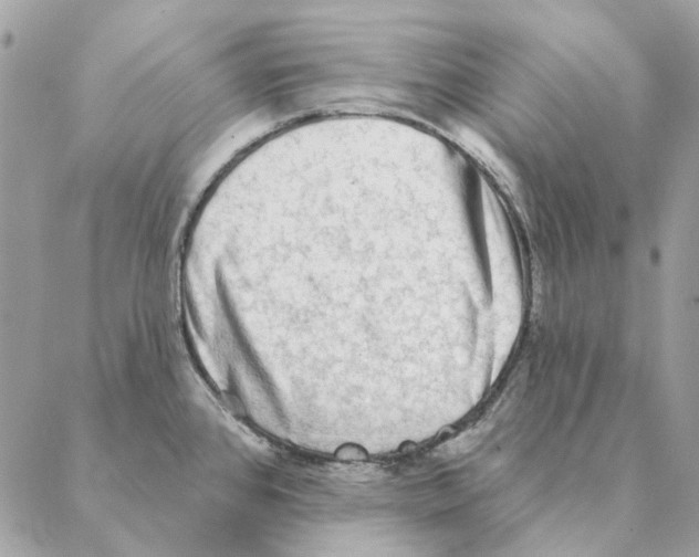 X0000088221384200706121819