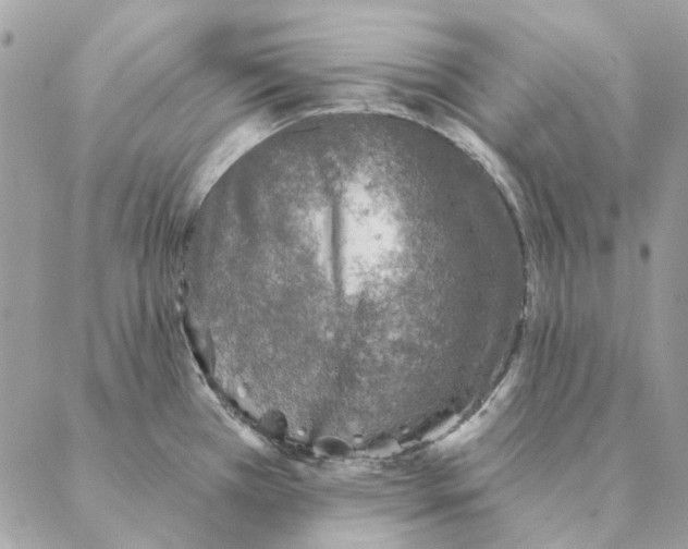 X0000088221385200706121819