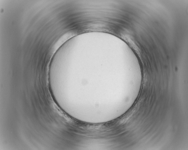 X0000088221386200706121819