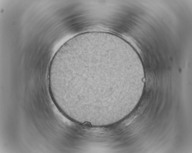 X0000088221387200706121819