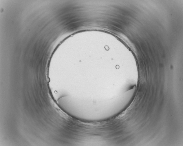 X0000088221388200706121819