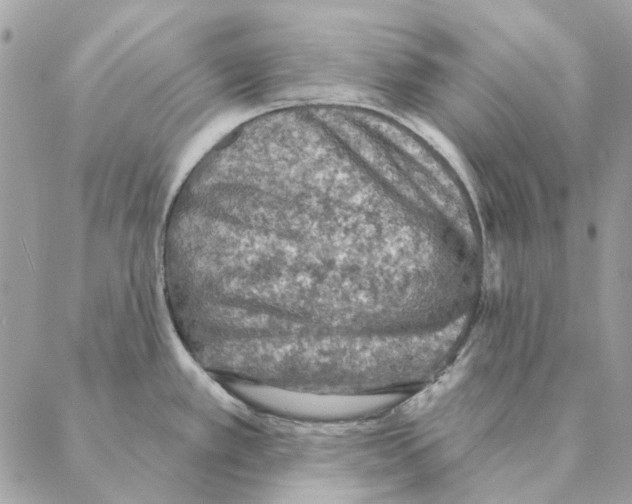 X0000088221389200706121819