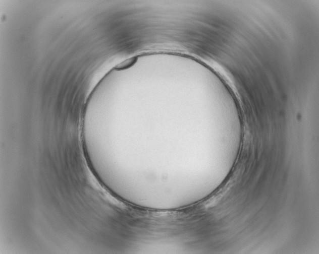 X0000088221390200706121819