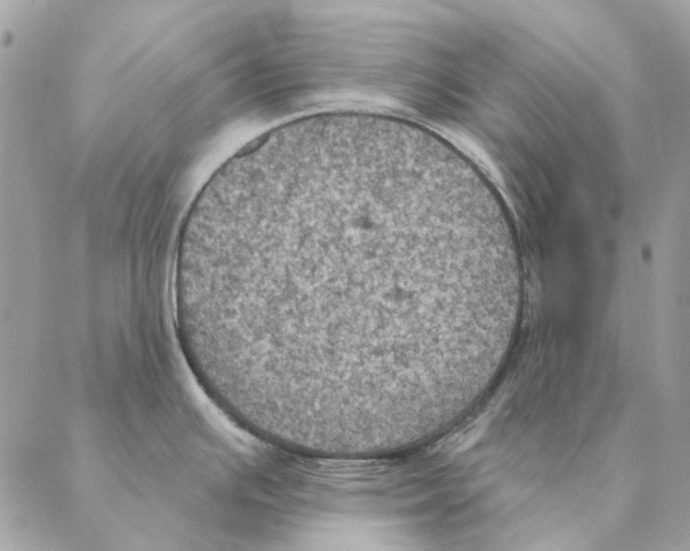 X0000088221391200706121819