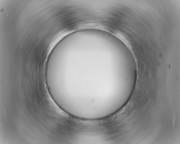 X0000088221392200706121819