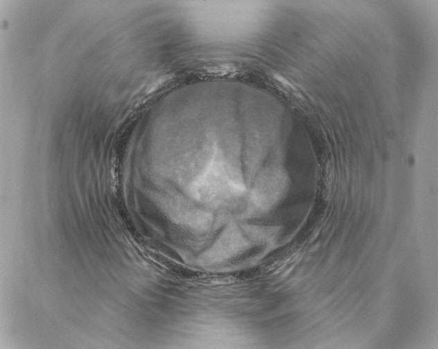 X0000088221394200706121818